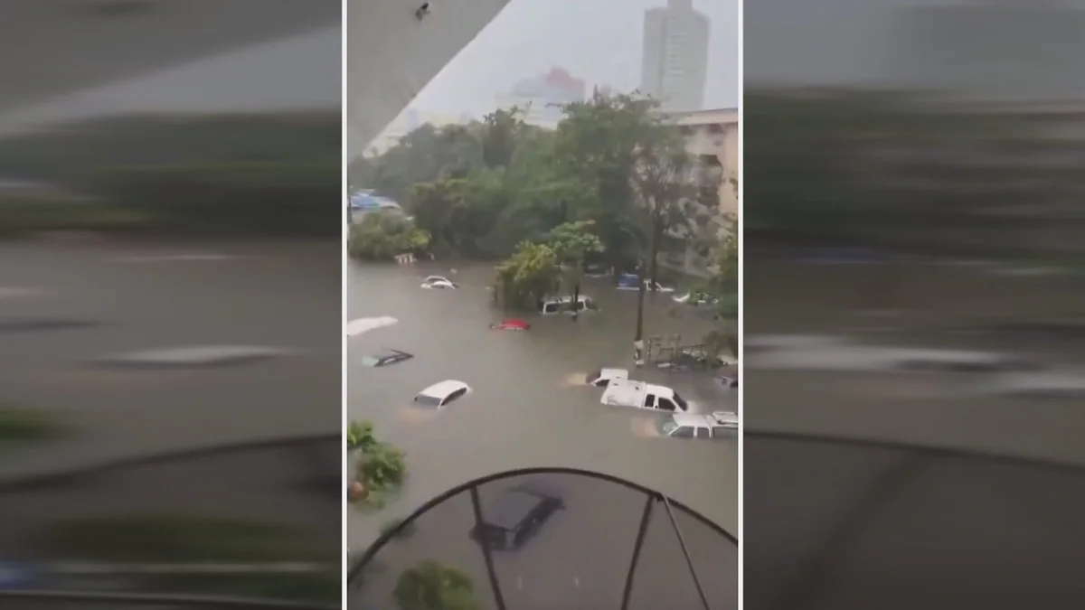 曼谷街道嚴重水浸，多輛汽車被淹沒至車頂位置，僅露出車身頂部，周邊樹木及建築物亦被積水包圍。
