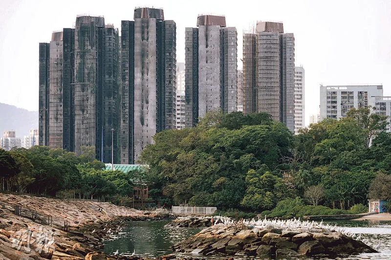 青衣宏福苑多座住宅大廈外牆可見明顯火燒痕跡，大廈前方為綠化帶及水體，背景為住宅區環境。