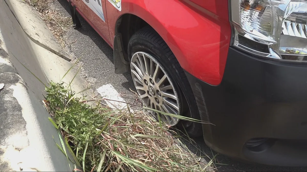 一輛紅色市區的士停泊在呈祥道路邊，其右前輪位置靠近石壆與路邊雜草。