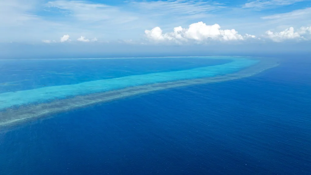 圖：星島頭條